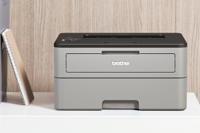 HL-L2350DW-printer